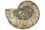 Cut & Polished Ammonite Fossil (Half) - Crystal Filled Chambers #191670-1